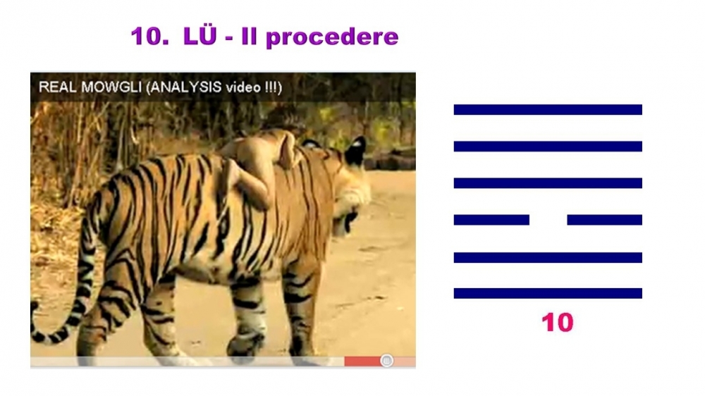 Diario di bordo 18 gennaio 2026 – Sulla coda della tigre - Ching & Coaching